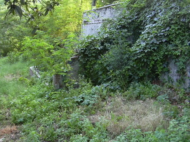 giardino casa insieme onlus