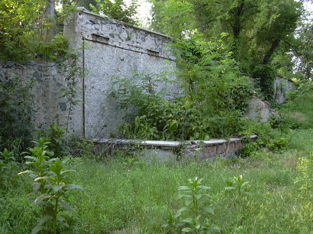 giardino casa insieme onlus