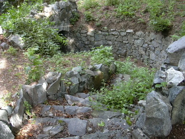 giardino casa insieme onlus