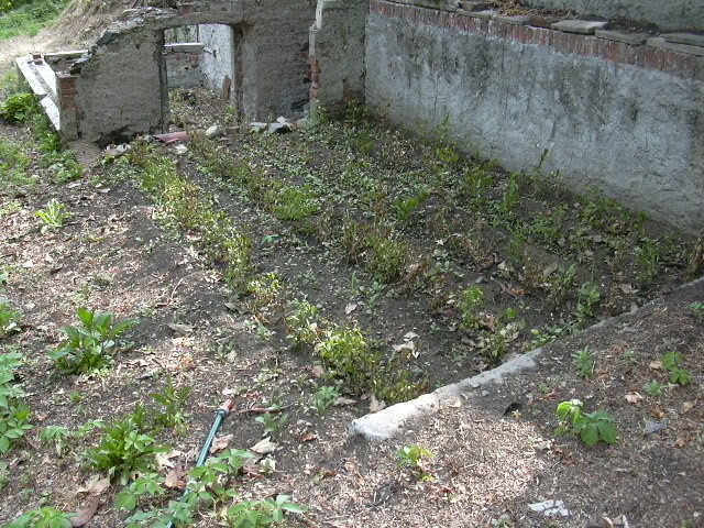 giardino casa insieme onlus