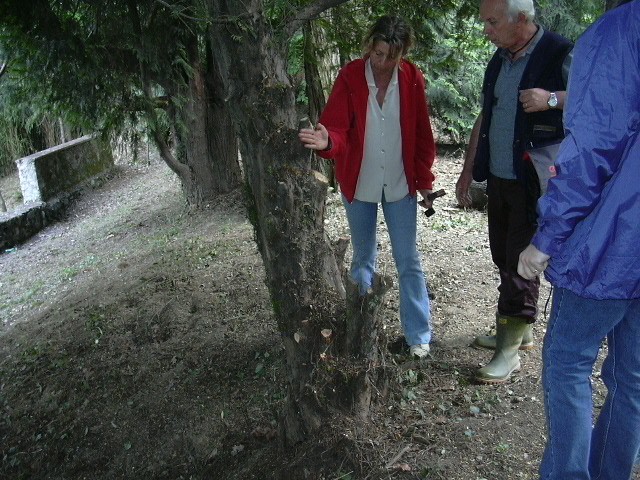 giardino casa insieme onlus