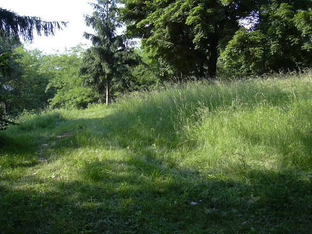 giardino casa insieme onlus
